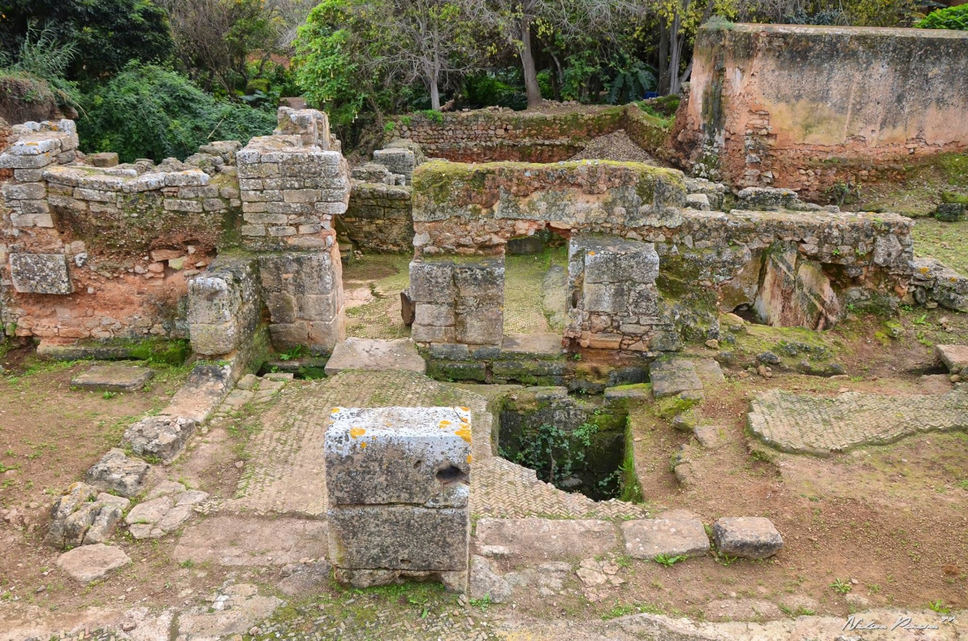 Roman ruins among the gardens of Chellah