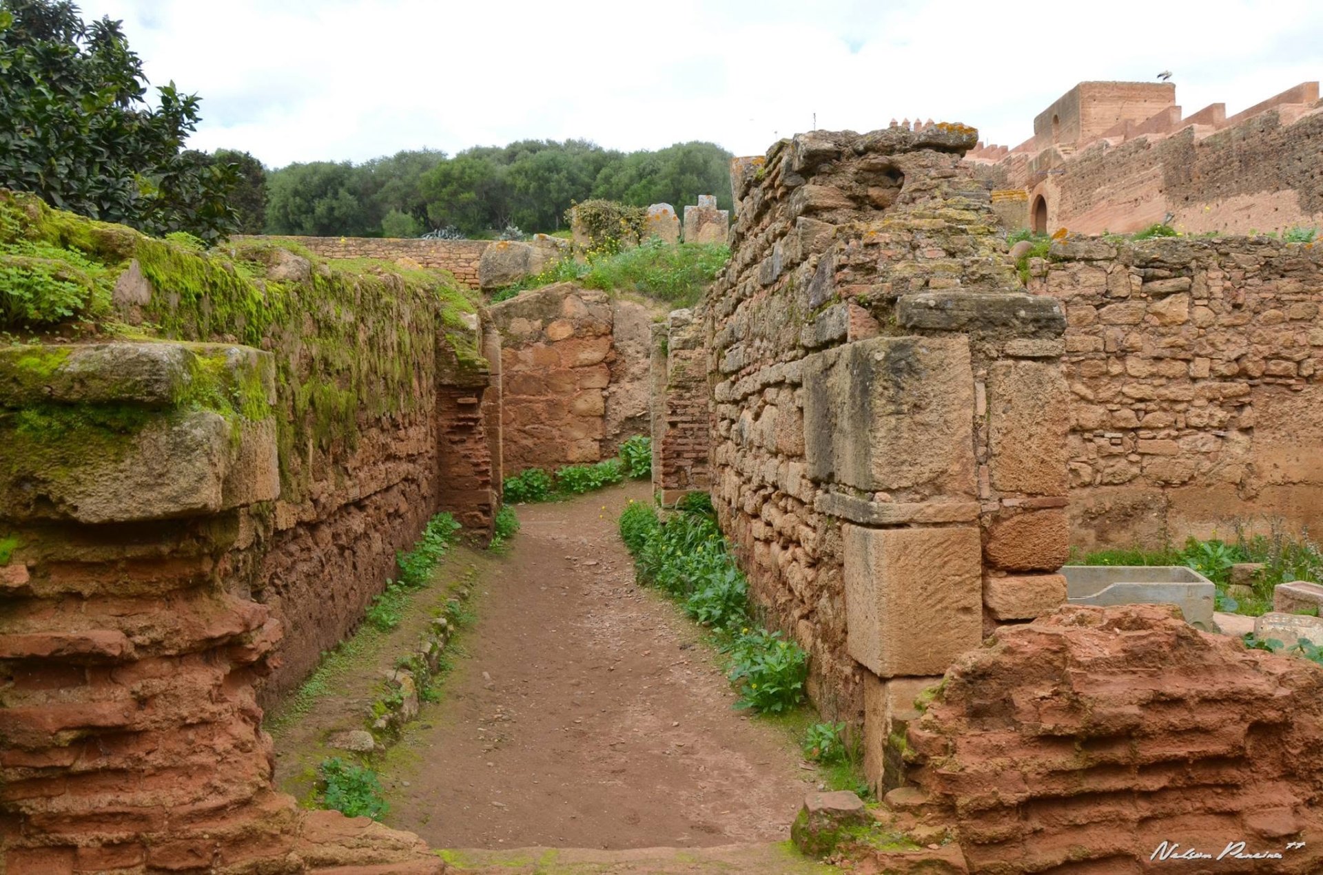 Path between Roman ruins at Chellah