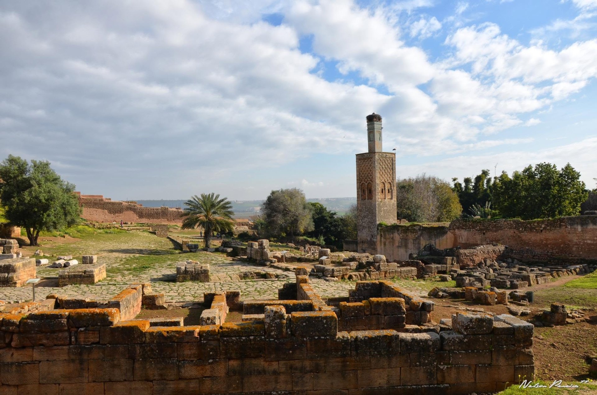View over Chellah to the minaret
