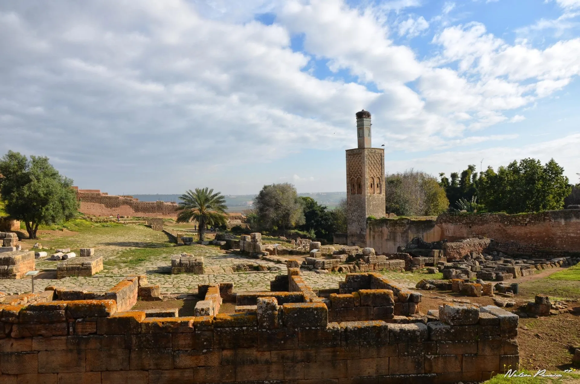 View over Chellah to the minaret