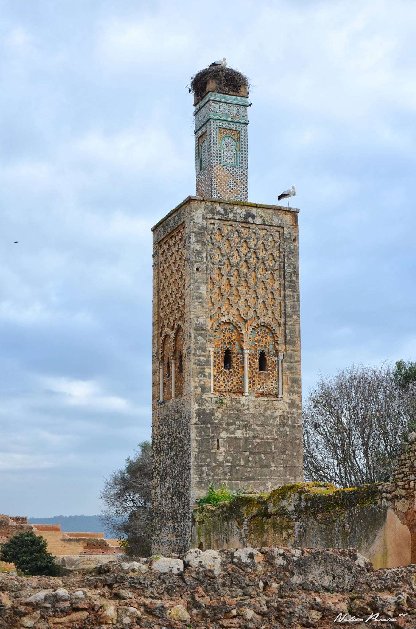 The minaret of the Chellah mosque