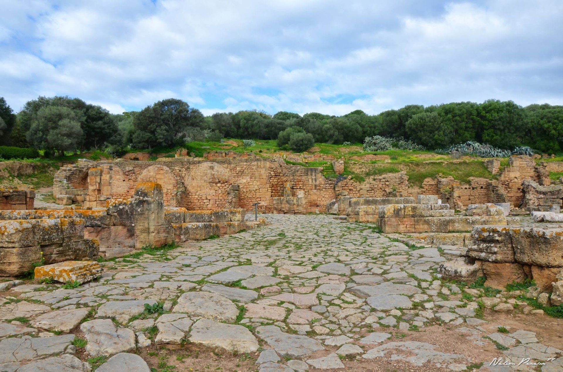 Roman paved road through Chellah
