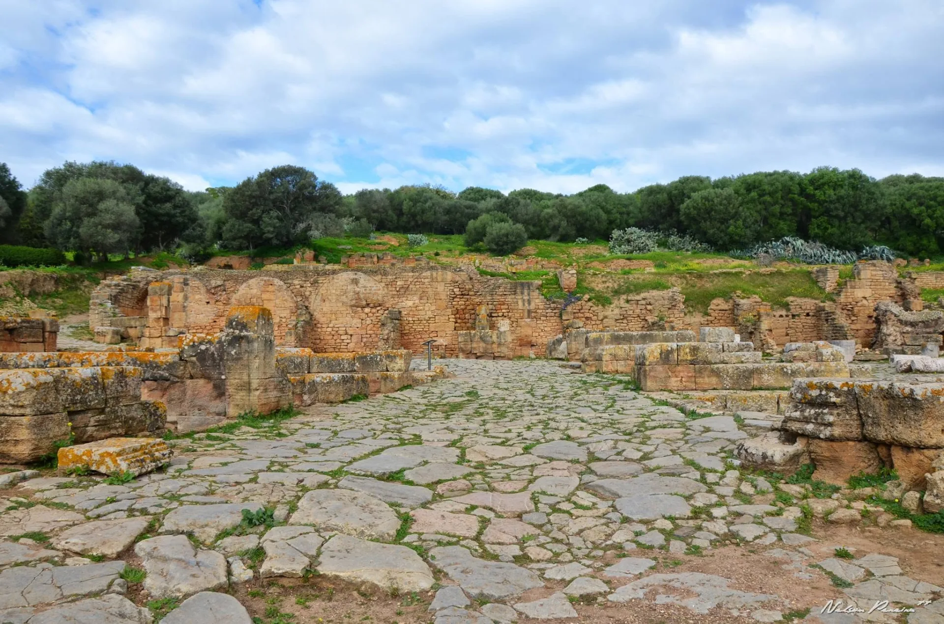 Roman paved road through Chellah