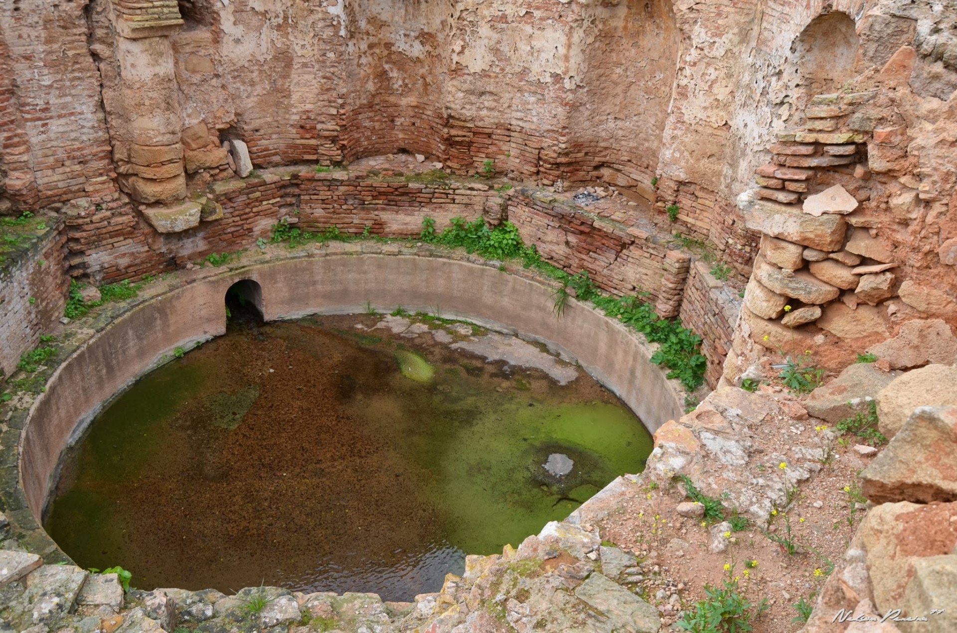 Ancient round basin in the Chellah ruins