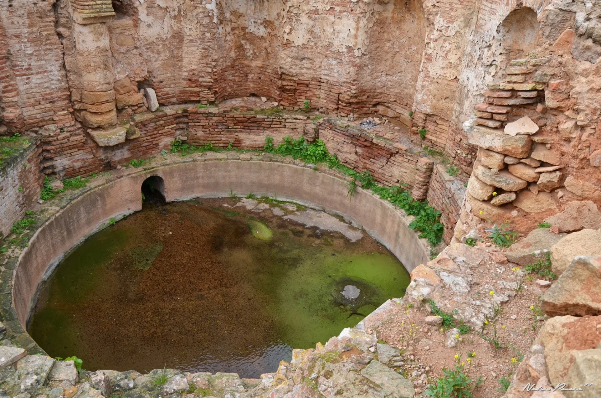 Ancient round basin in the Chellah ruins