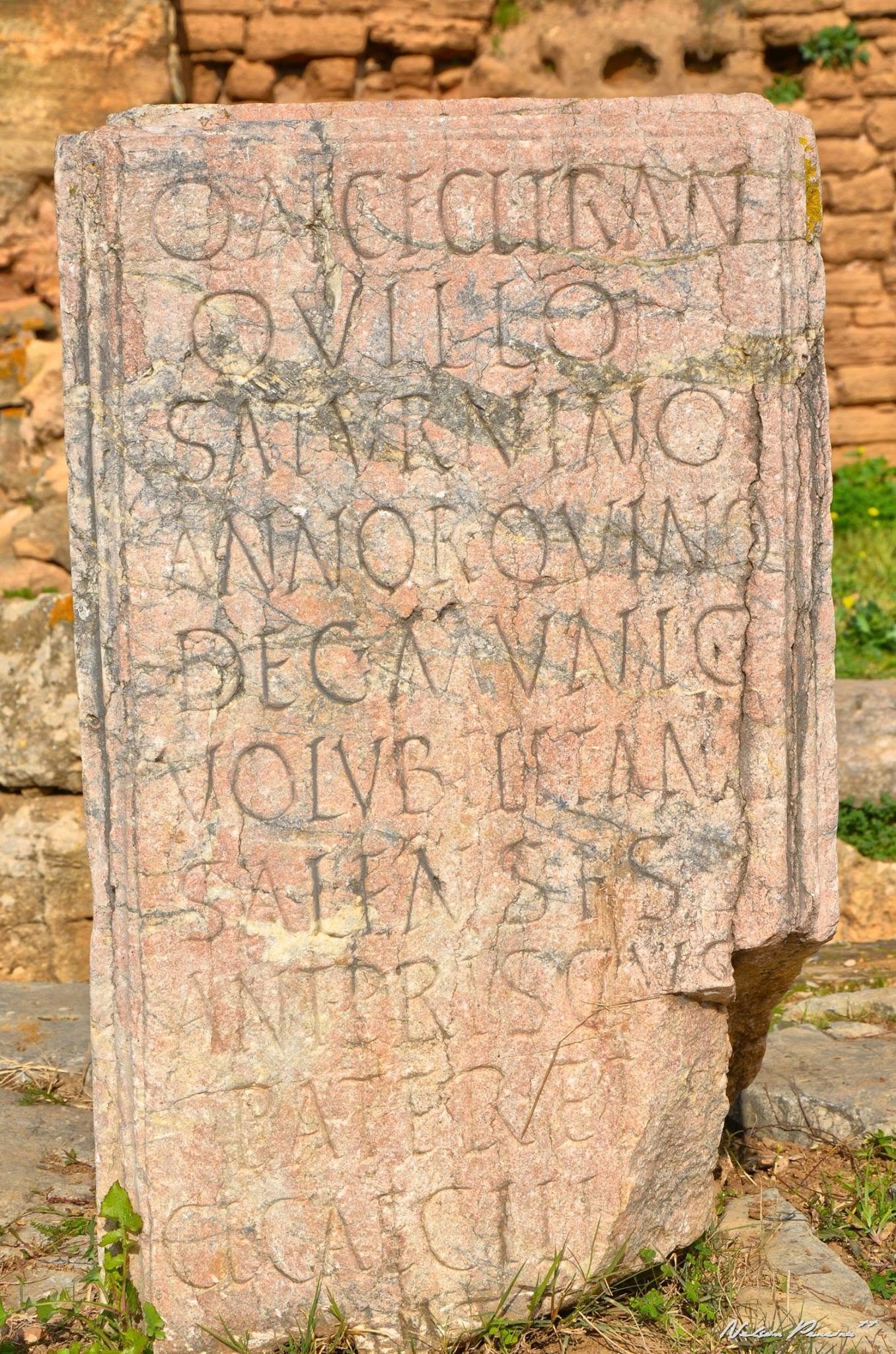 Latin inscription on a Roman stone at Chellah
