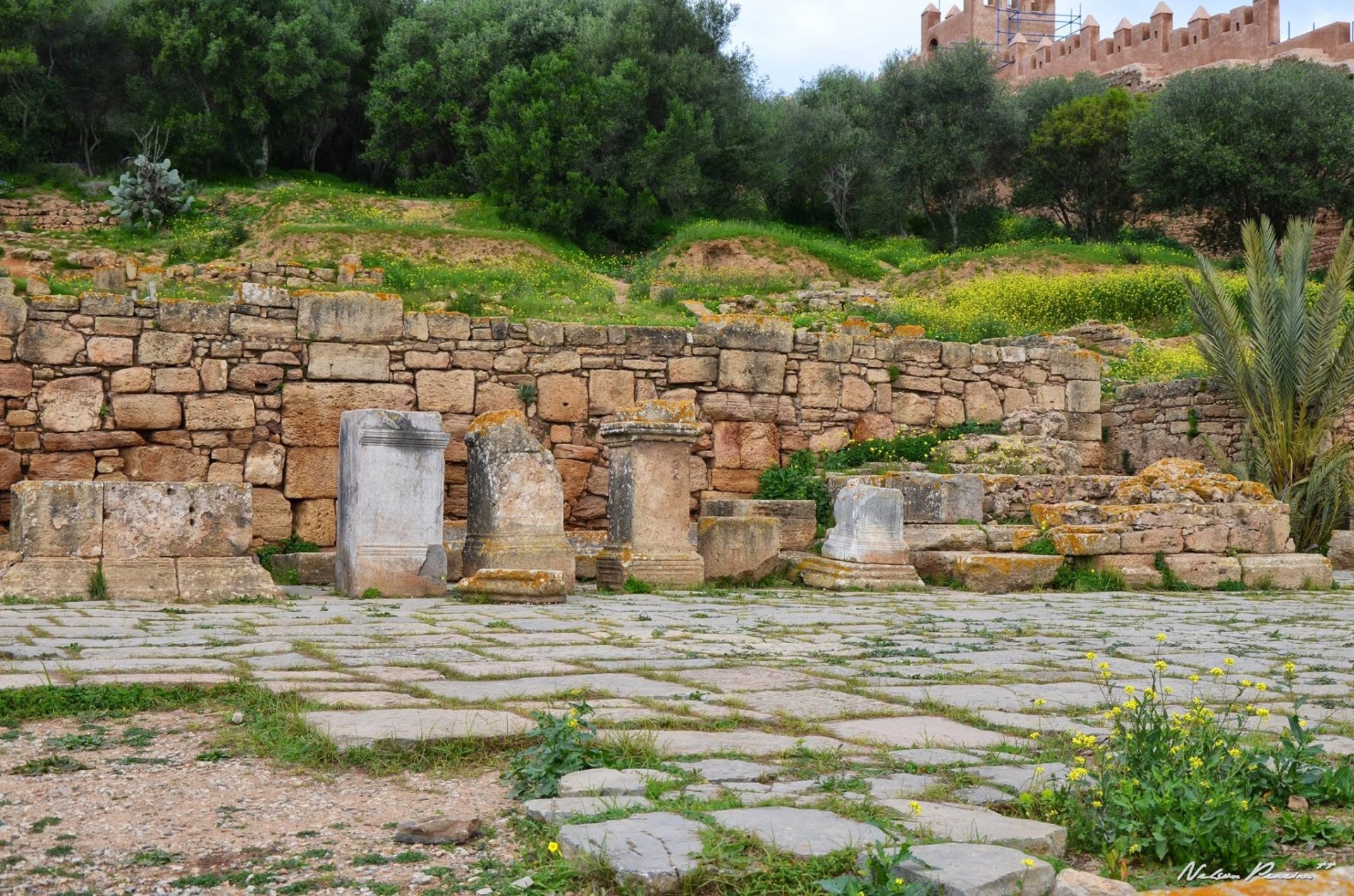 Roman forum below the Chellah walls
