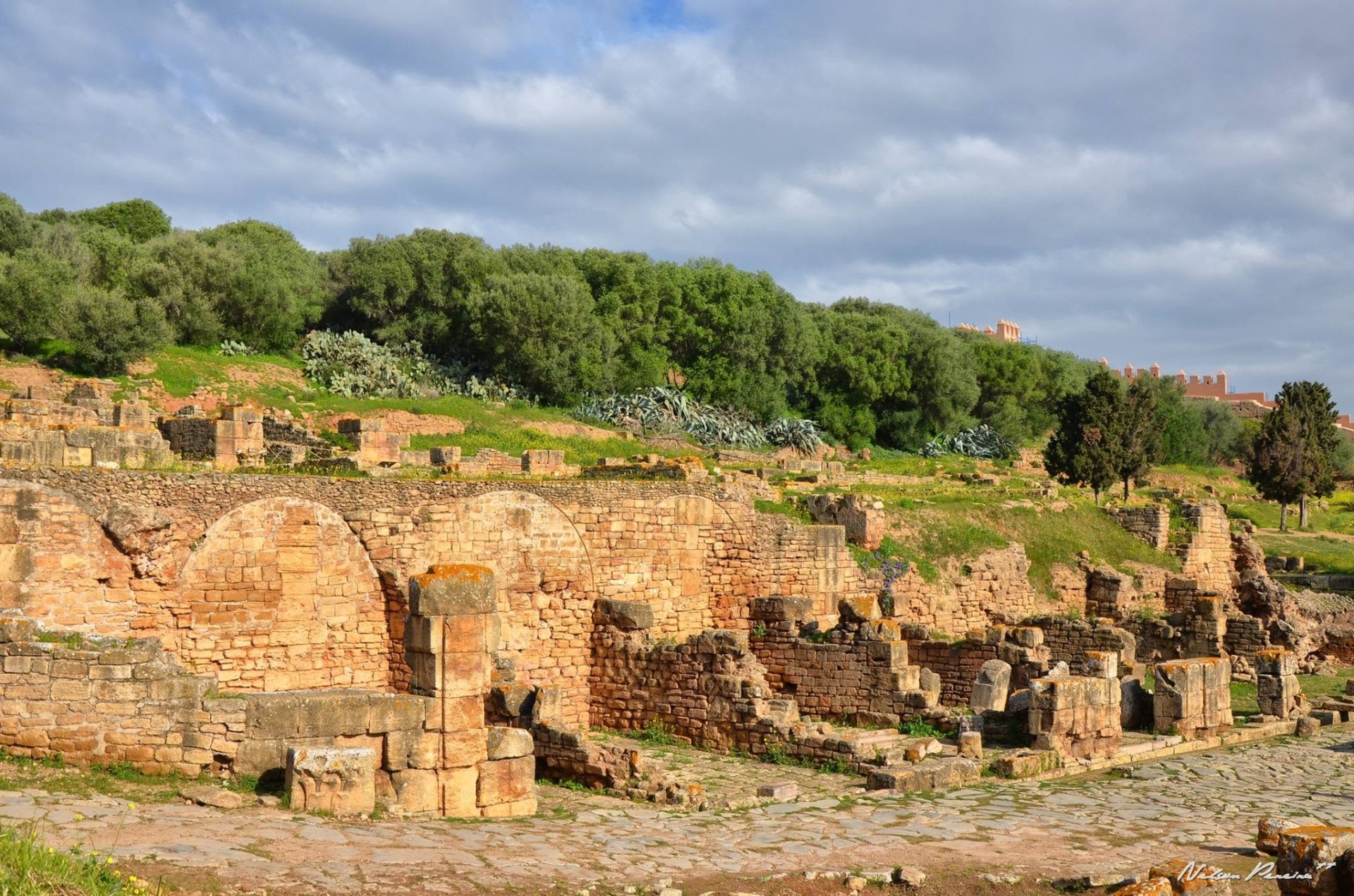 Roman ruins of Sala Colonia at Chellah