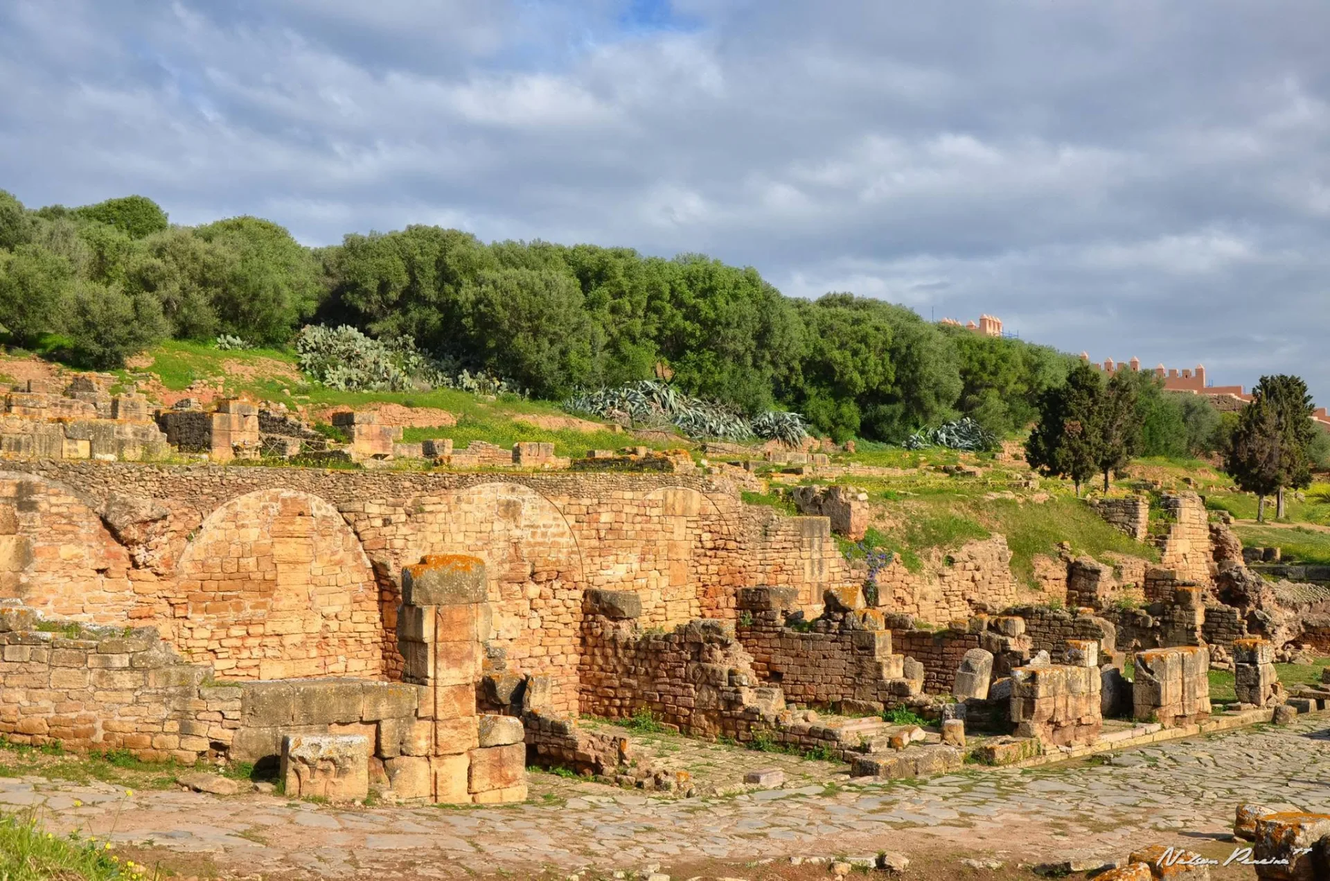 Roman ruins of Sala Colonia at Chellah