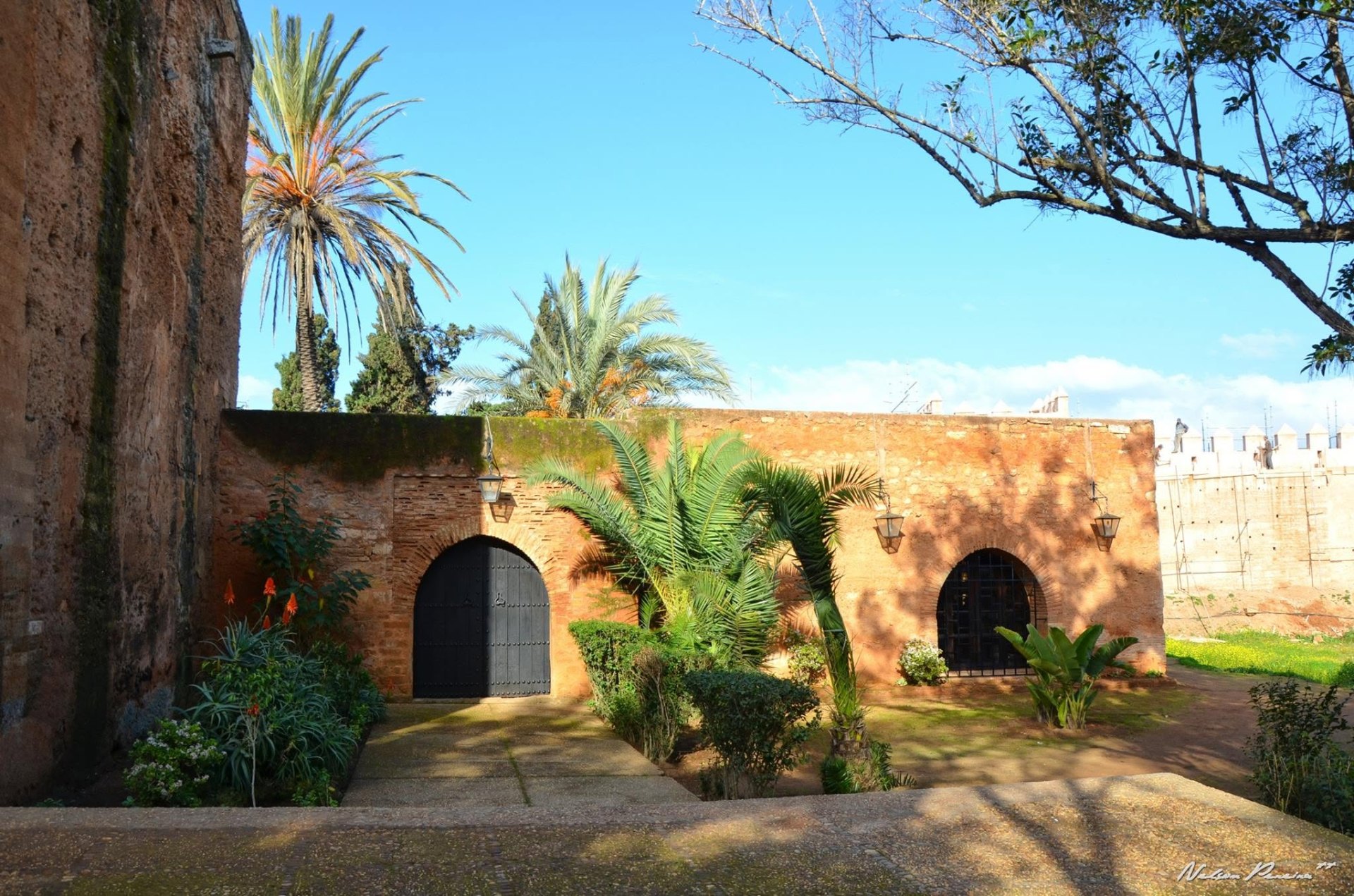 Palm-lined courtyard inside Chellah