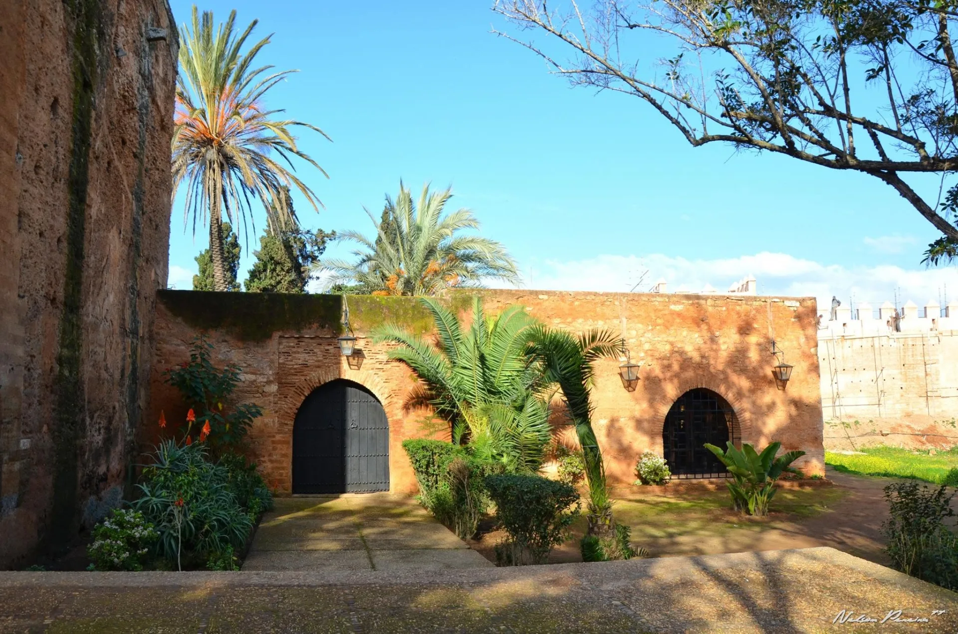 Palm-lined courtyard inside Chellah