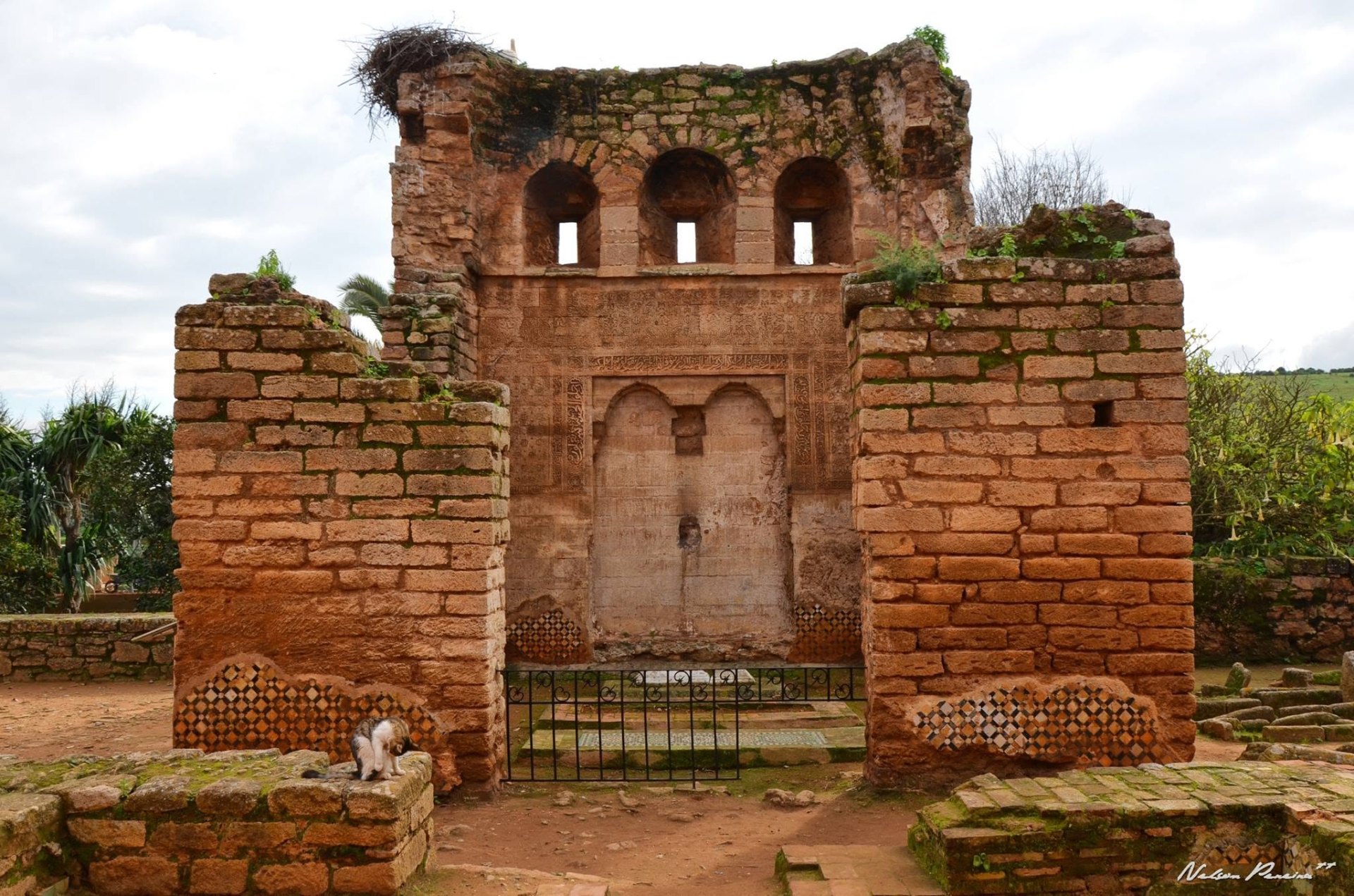 Marinid ruins with stork nests at Chellah