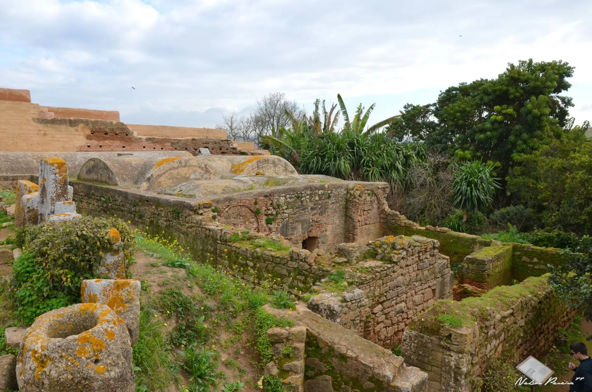 Old walls and gardens at Chellah
